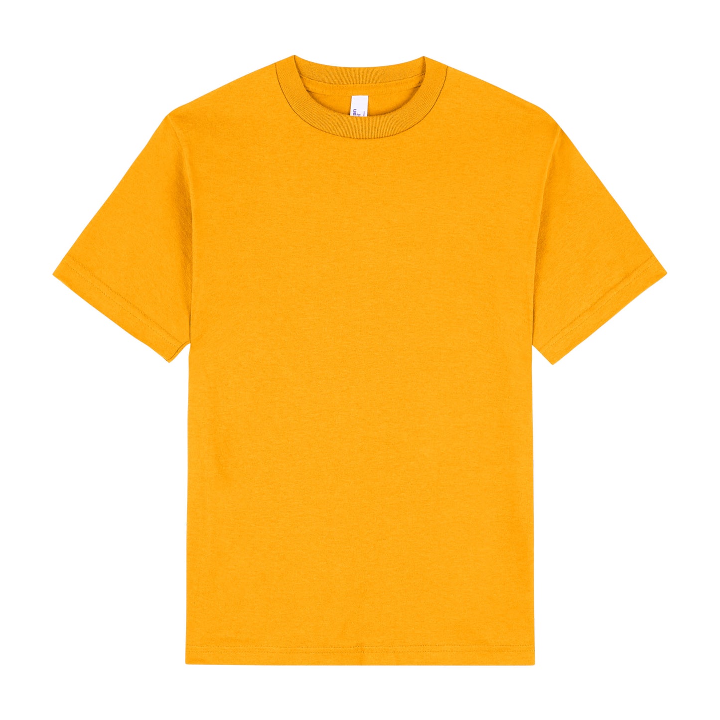 American Apparel Mens T-Shirt - 1301