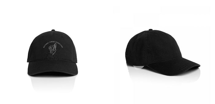 AS Colour Access Five Panel Cap - 1132