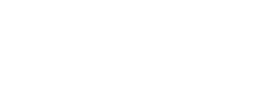 AMERICAN APPAREL