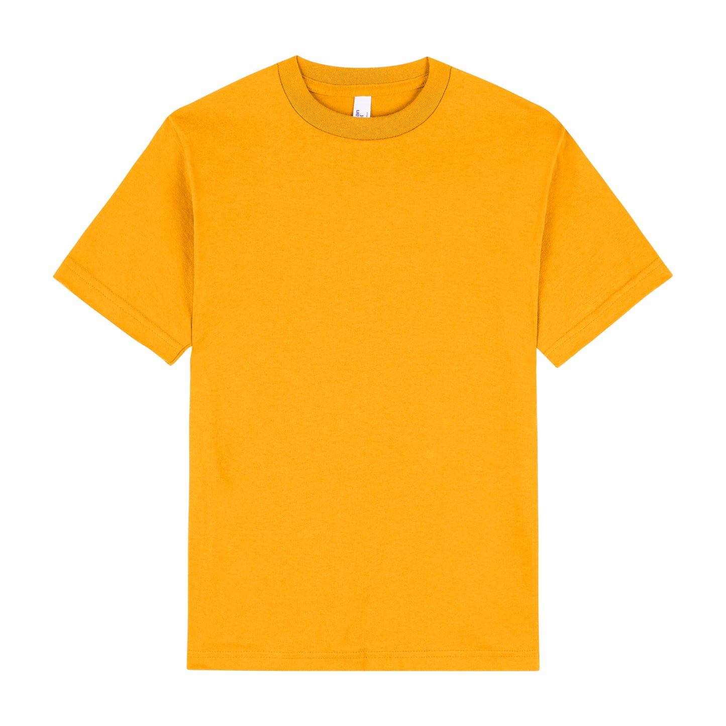 American Apparel Mens T-Shirt - 1301